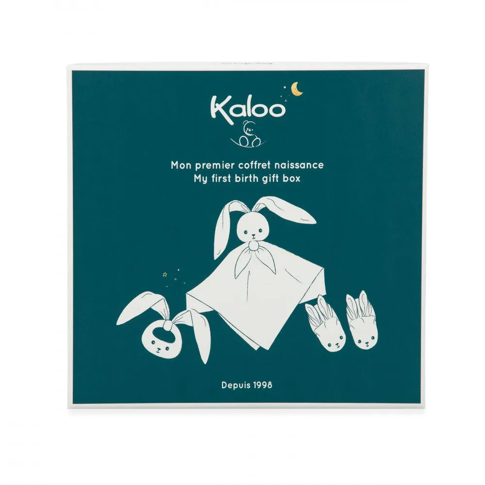 K218011