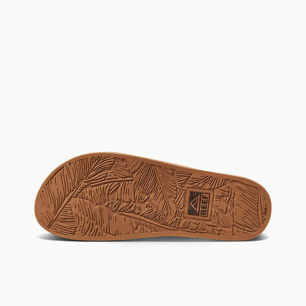 Reef Drift Away Le